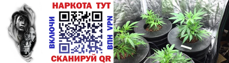 Все наркотики Тында Конопля  КОКАИН  Гашиш  МЕФ 