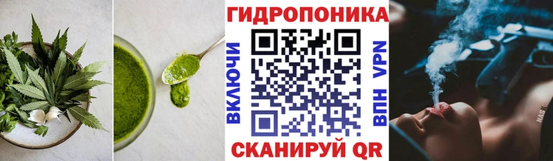 Cannafood марихуана Тында
