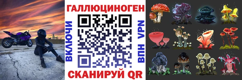 Псилоцибиновые грибы Magic Shrooms  купить   Тында 